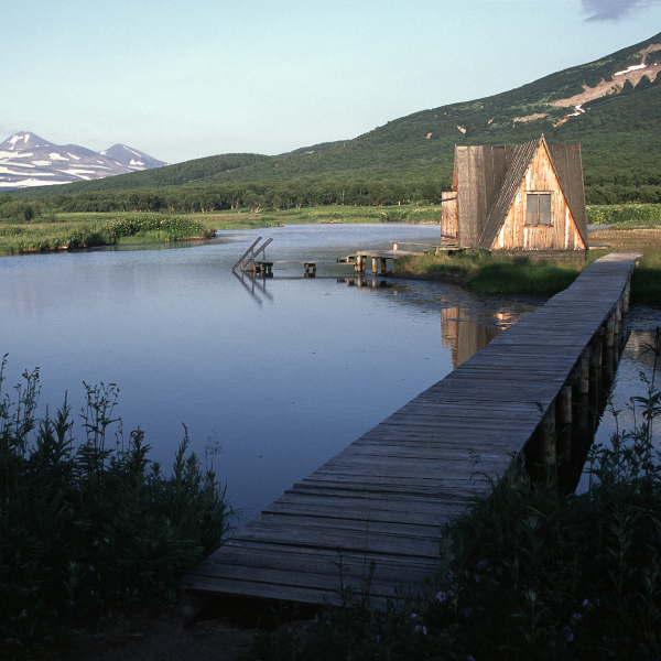 Sauna Design Trends for 2024: Create a Modern Wellness Space at Home