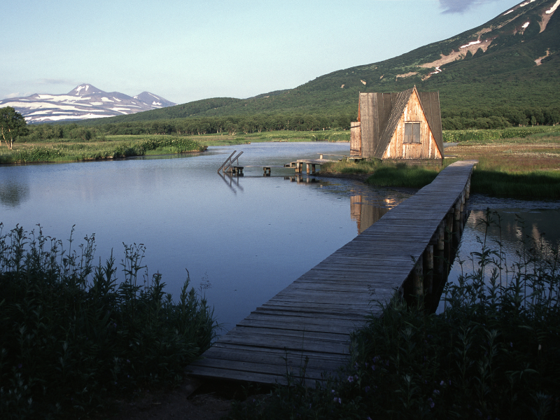 Sauna Design Trends for 2024: Create a Modern Wellness Space at Home