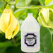 AromaMist Ylang Ylang Aroma Bath Oil, 1-Gallon Bottle