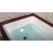 Luxury Spas Cold Plunge Platinum