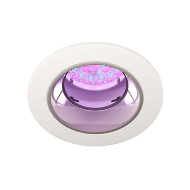 The Chroma logic color selection can be set for a single color or to cycle from one to another