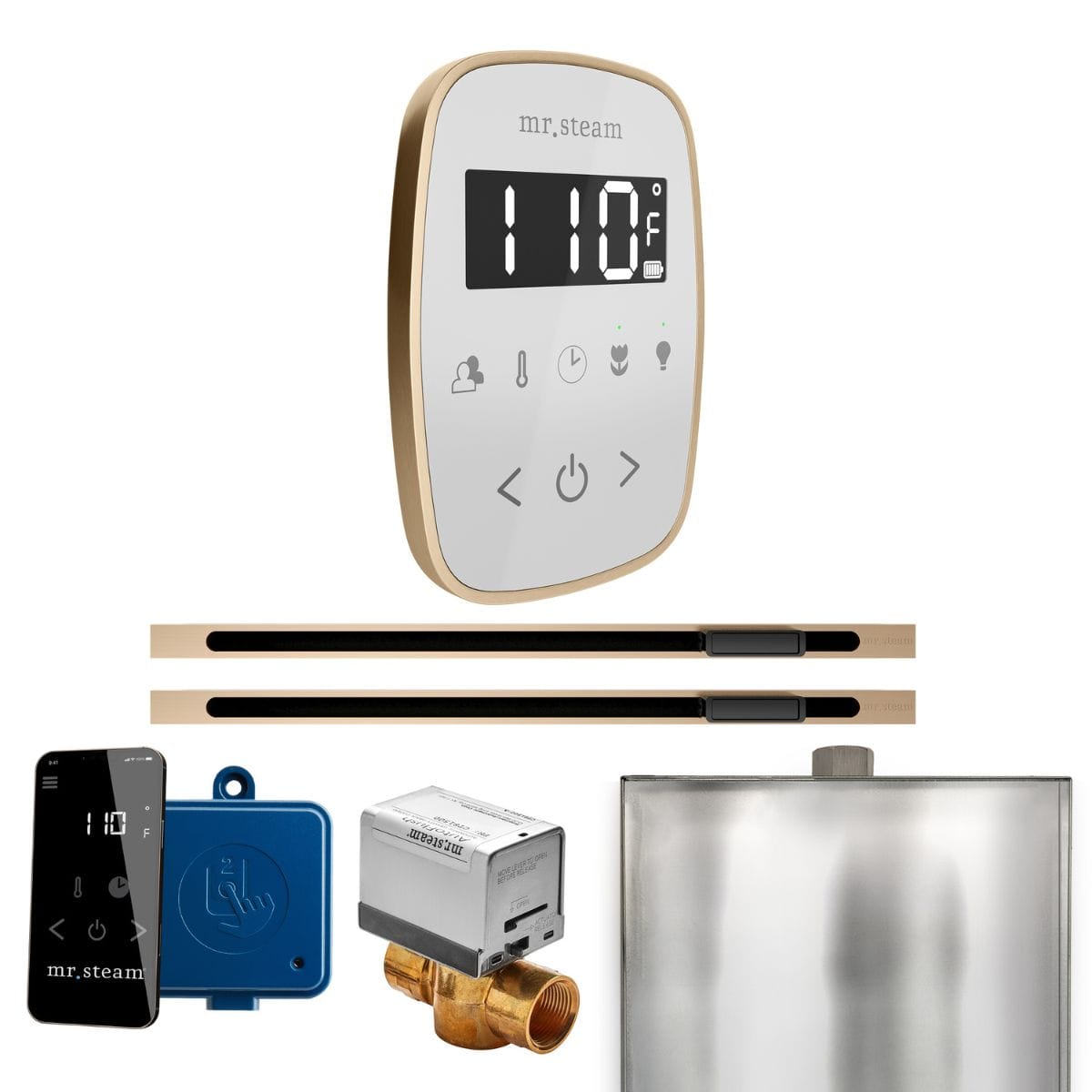 The Mr.Steam ButlerFlex Max Linear Control Package