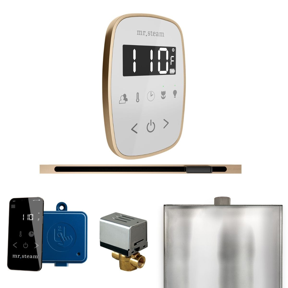 The Mr.Steam ButlerFlex Linear Control Package offers desired flexibility