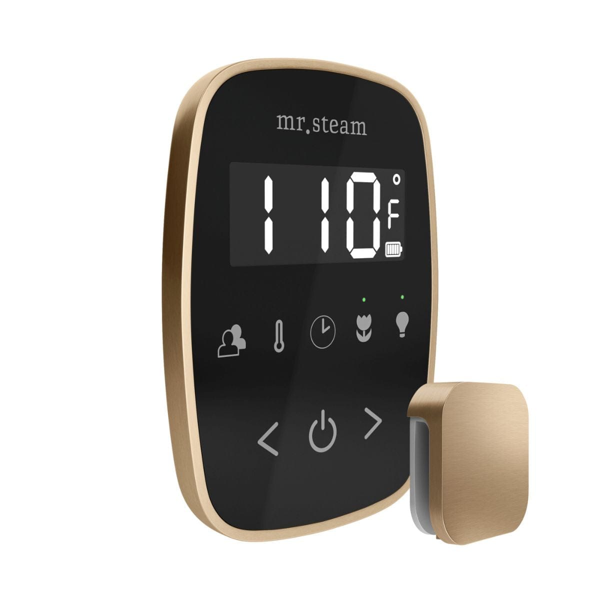 Mr. Steam TempoFlex Steam Shower Control and Steamhead in Black