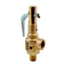 This valve would typically be piped to a floor drain in the generator installation area