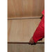 Sunray Eagle 2 Person Outdoor Traditional Sauna